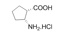 (1S,2R)-2-aminocyclopentanecarboxylic Acid Hydrochloride Salt